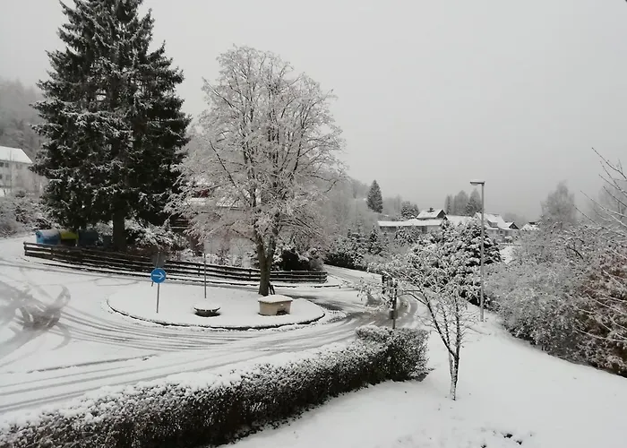 Schoene Aussicht Wieda 公寓 Walkenried