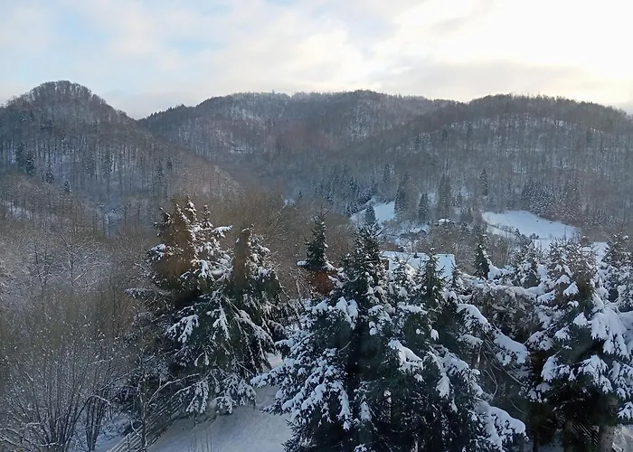 Schoene Aussicht Wieda 公寓